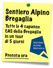 Novità